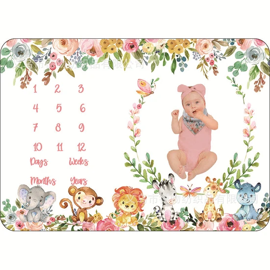 Baby Meilenstein Decke Geschenkset