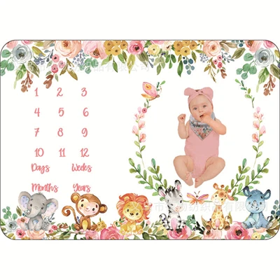 Baby Meilenstein Decke Geschenkset