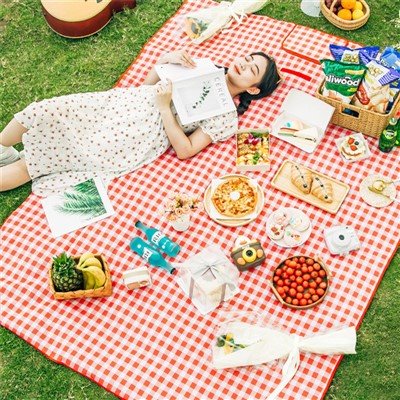 Picknickdecke für die Gartenparty